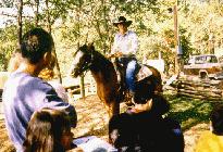 horseback riding ring